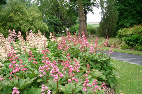 Westdean Gardens, Shropshire